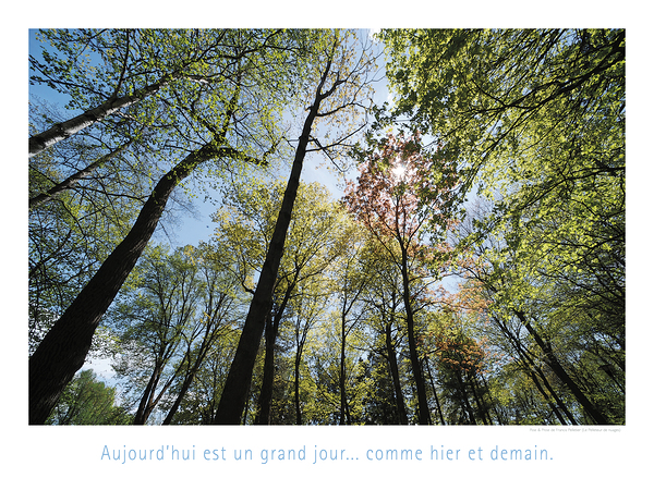 HETRE OU NE PAS Print