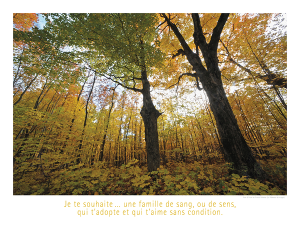 UNE FAMILLE DE SENS Print