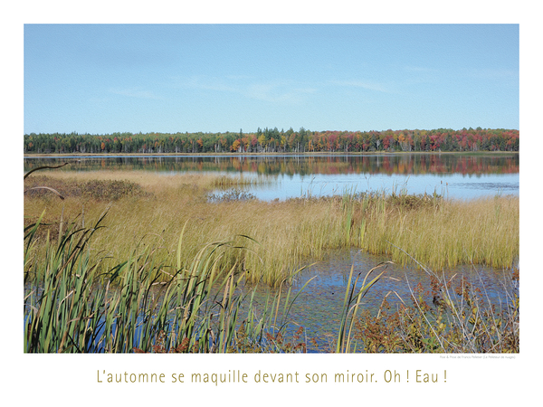 MIROIR MIROIR