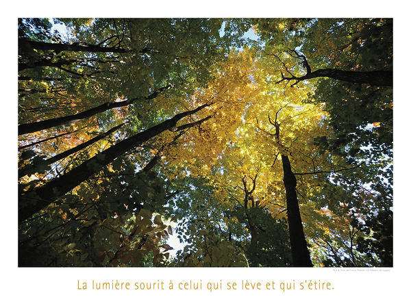LA CROISSANCE Print