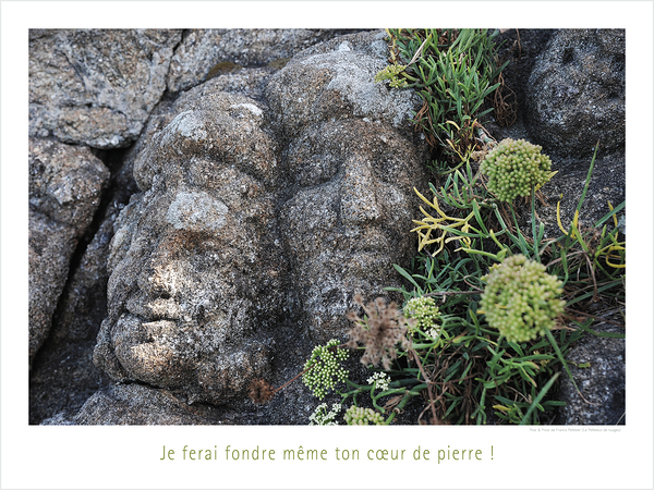 LES TETES DURES Print