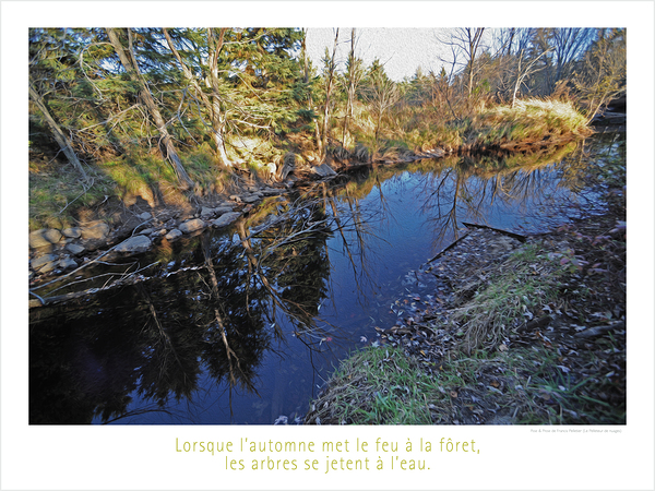 AU FEU Print