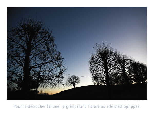 APPORTEZ LA GRANDE ECHELLE Print