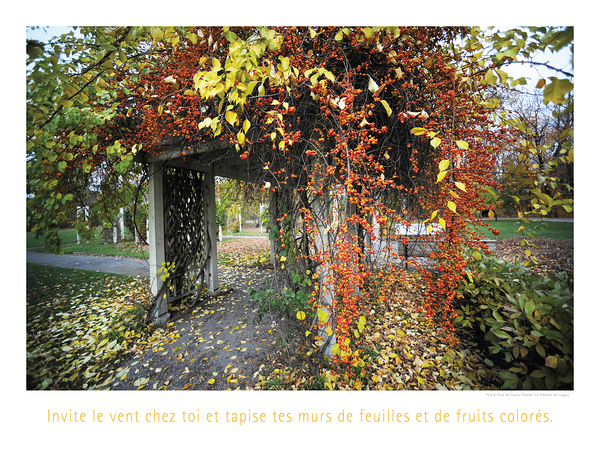TAPISSERIE 3D