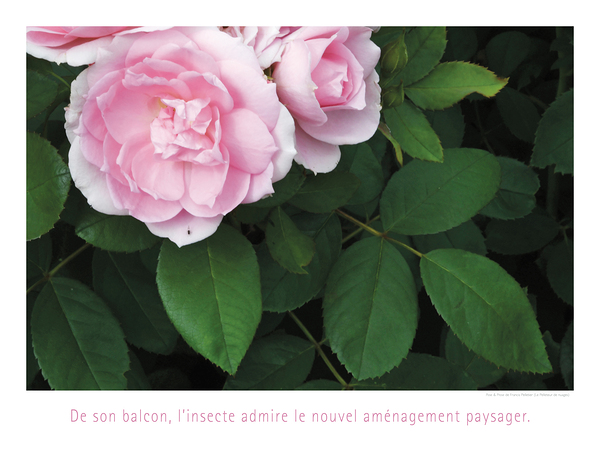 VUE DU BALCON Print