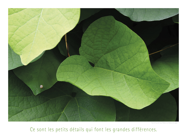 LES PETITS DETAILS Print