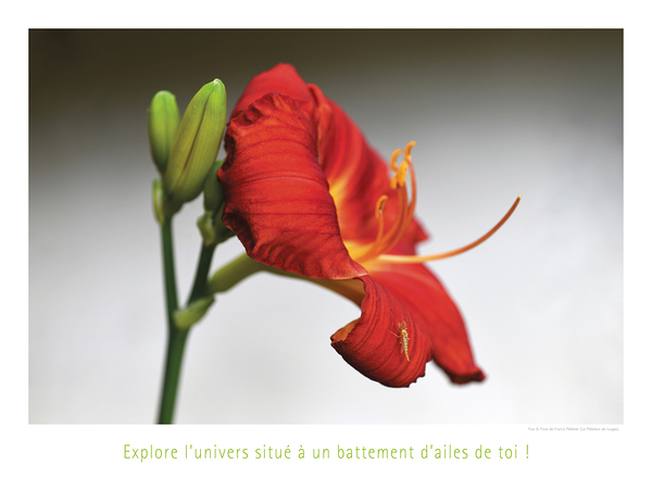 LE VOYAGE D UN PAS Print