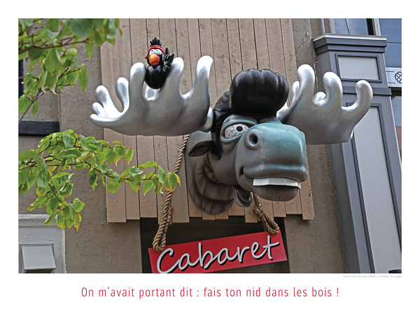 TU BOIS TROP