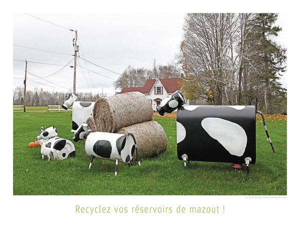 LES VACHES PETROLIERES