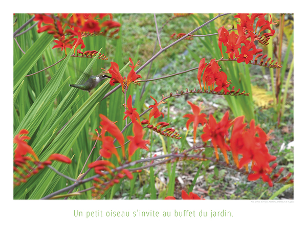 BUFFET A VOLONTE Print