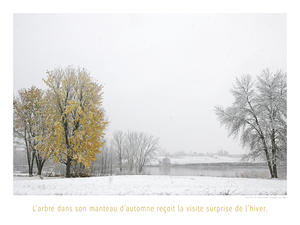 FRISSON DE SAISON