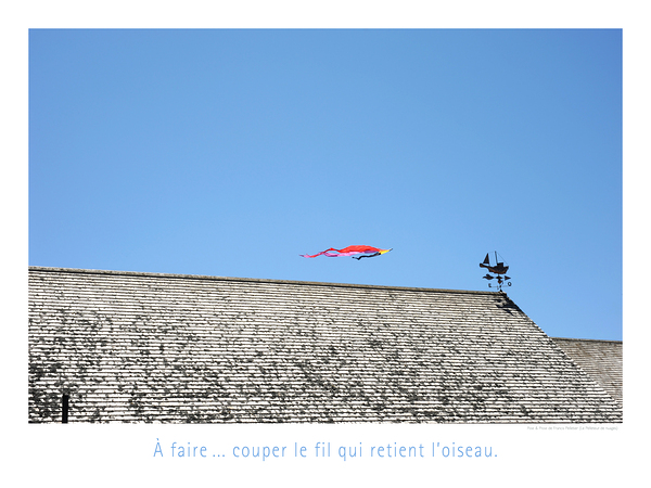 LE FIL Print