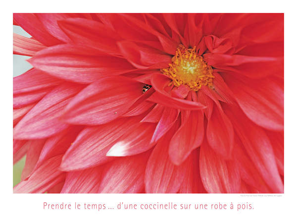 LA SIESTE Print