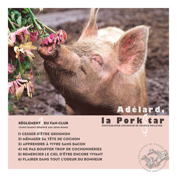 ADELARD LA PORKSTAR