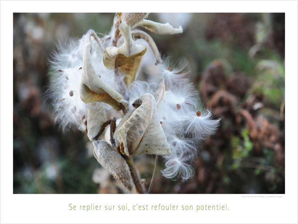 LE POTENTIEL Print