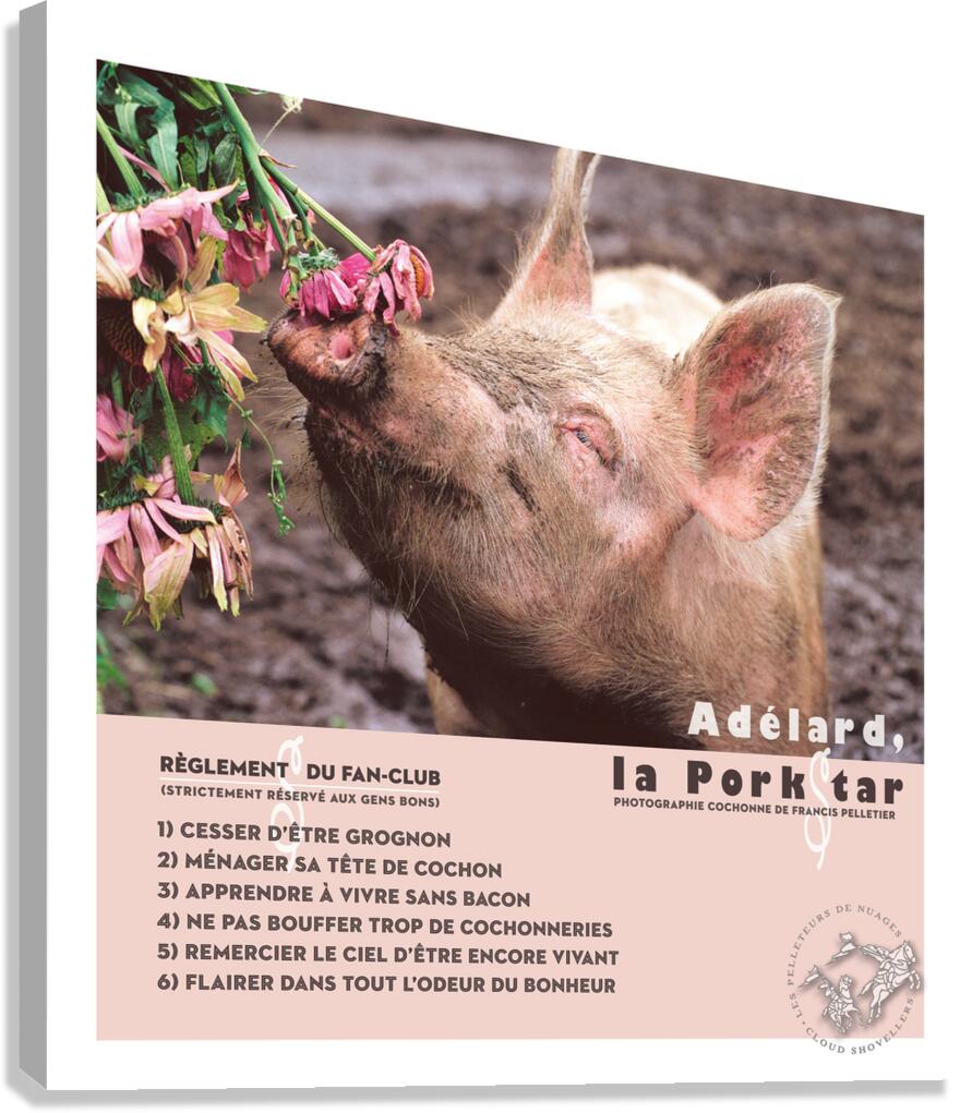 ADELARD LA PORKSTAR  Canvas Print
