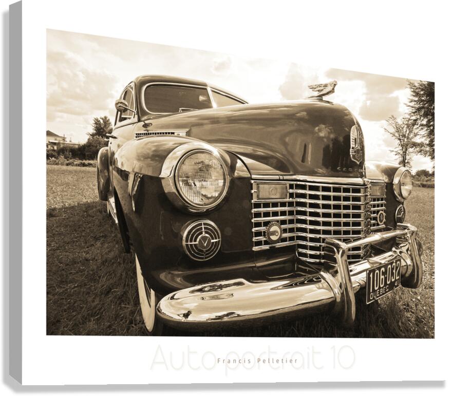 AUTO PORTRAIT 10 Canvas Print
