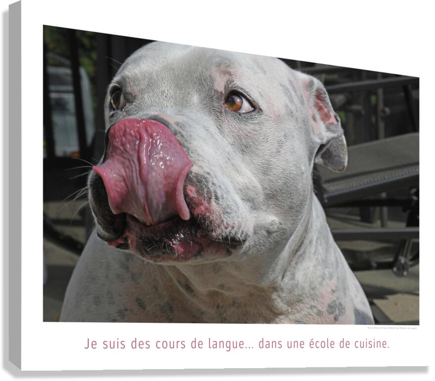 CORDON ROUGE Canvas Print