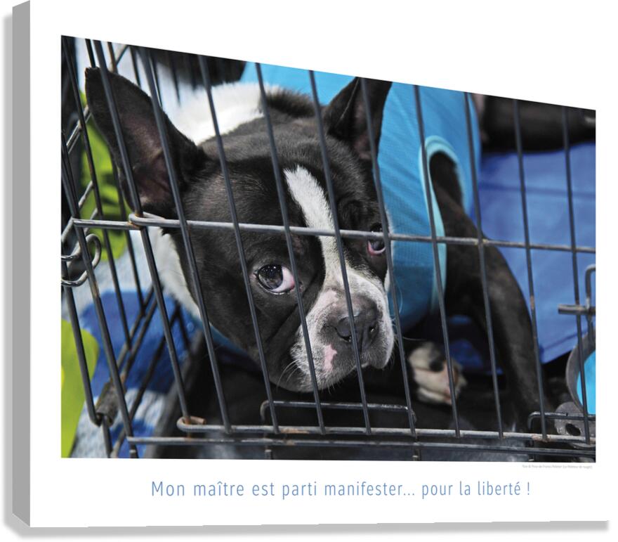 CACHOT Impression sur toile