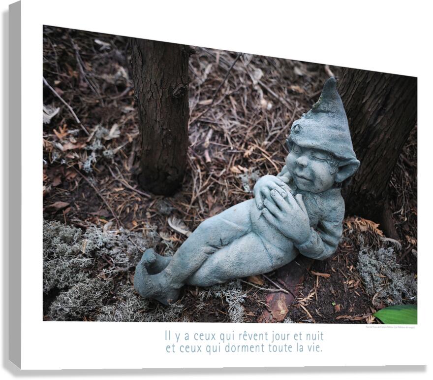 L EVEIL Canvas Print