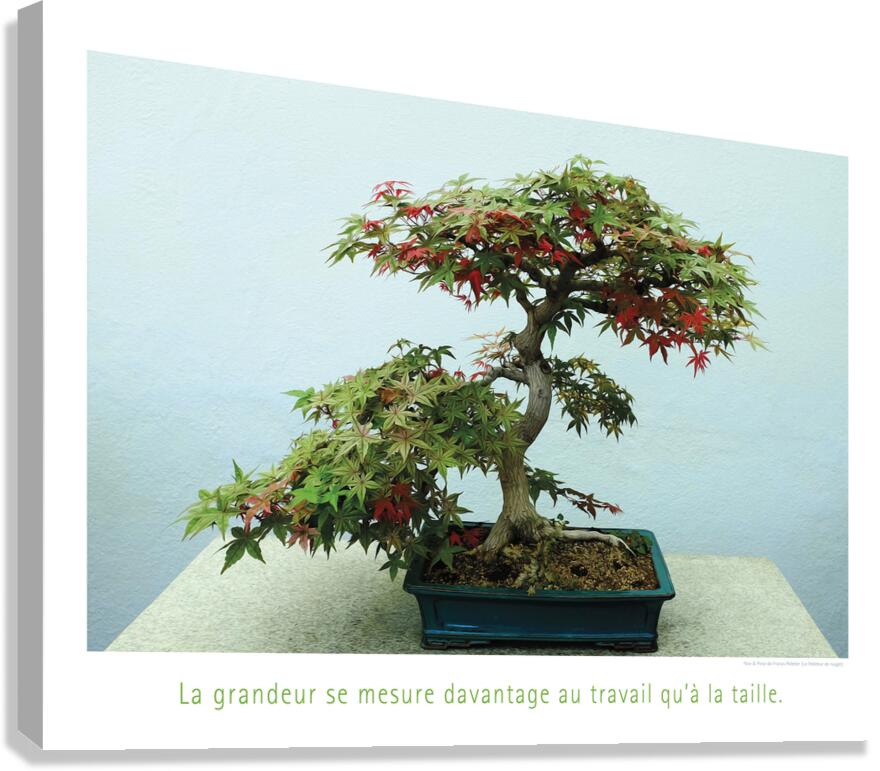LE PETIT GEANT Canvas Print