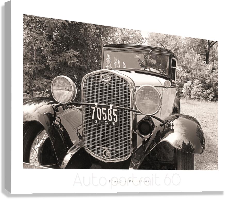 AUTO PORTRAIT 60 Canvas Print