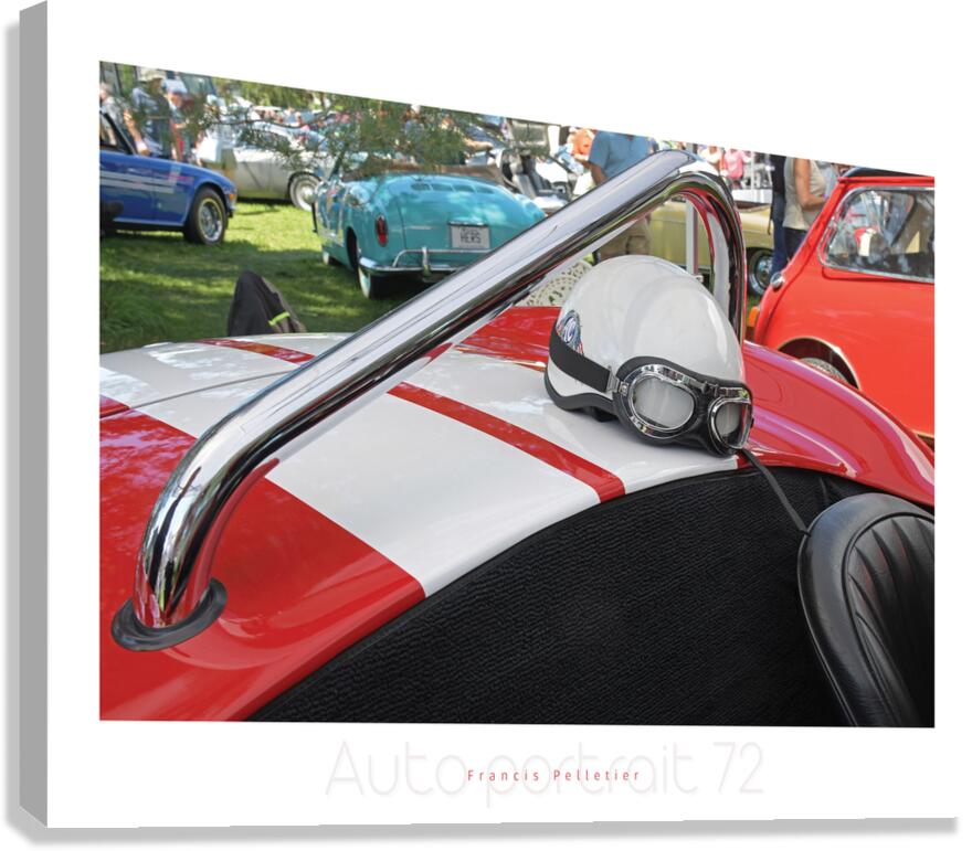 AUTO PORTRAIT 72 Canvas Print