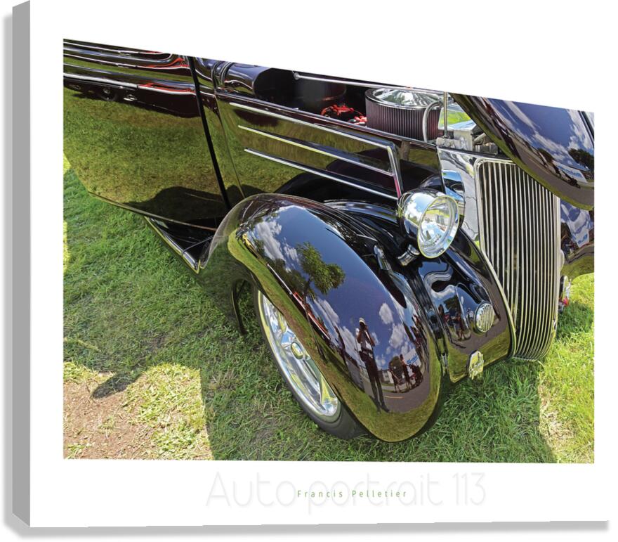 AUTO PORTRAIT 113 Canvas Print