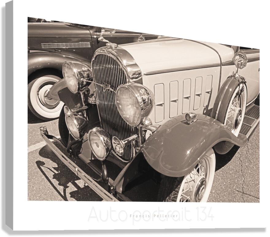 AUTO PORTRAIT 134 Canvas Print