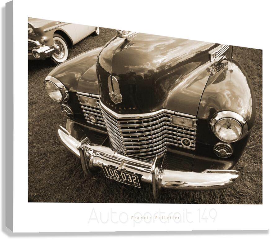 AUTO PORTRAIT 149 Canvas Print