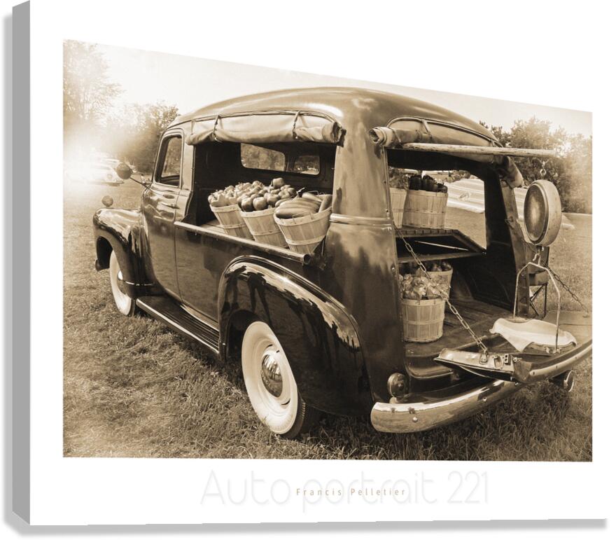 AUTO PORTRAIT 221 Canvas Print