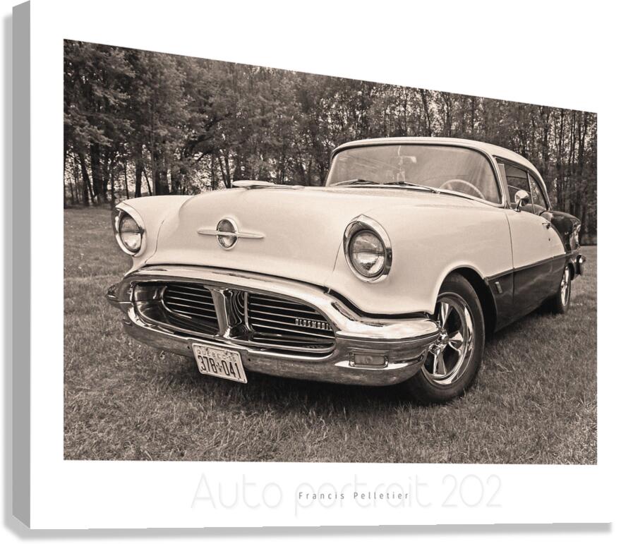 AUTO PORTRAIT 202 Canvas Print