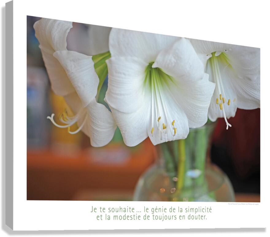 LE GENIE DE LA SIMPLICITE Canvas Print