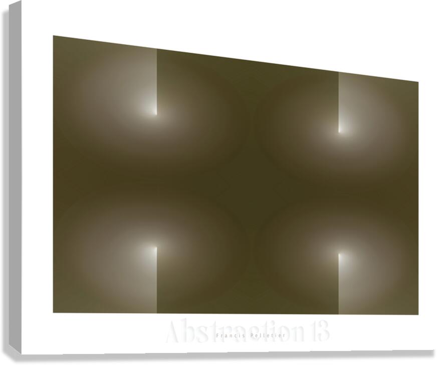 ABSTRACTION 13 Canvas Print