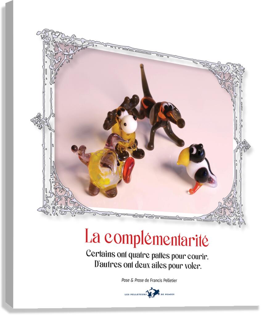 LA COMPLEMENTARITE Canvas Print