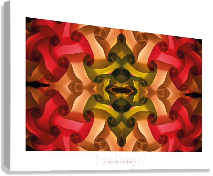 FEELING  17 Canvas Print