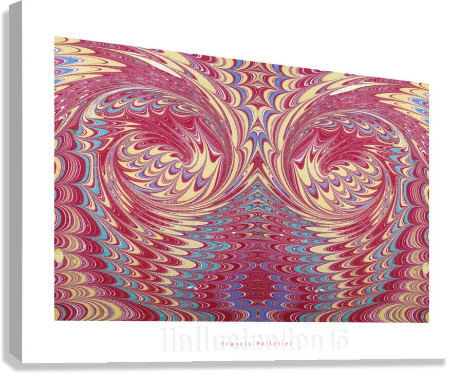 HALLUCINATION 15 Canvas Print