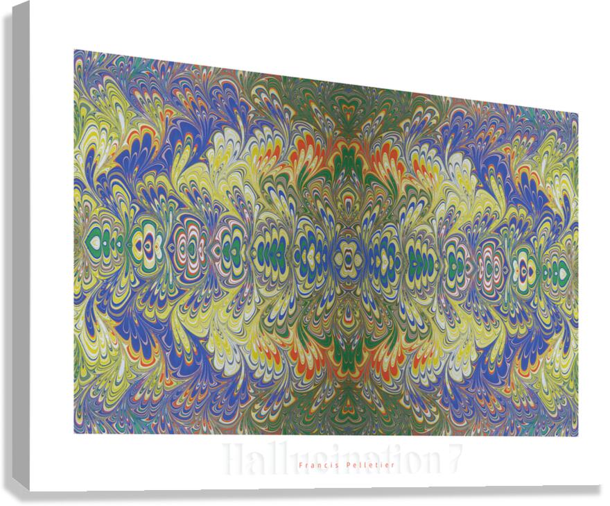 HALLUCINATION 7 Canvas Print