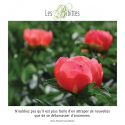 LES BIBITTES 5
