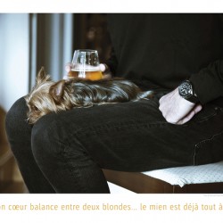 UN PEU BEAUCOUP PASSIONNEMENT