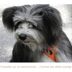 JE REMPLUME LES NIDS DE POULE