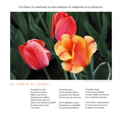 JE T OFFRE UN JARDIN