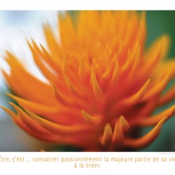 LES DOIGTS DE FEU