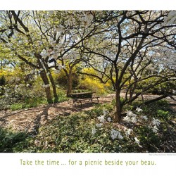 APPOINTMENT IN PARADISE