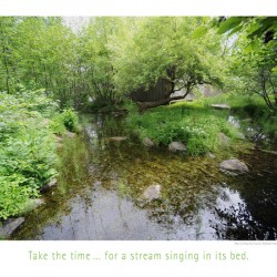 TAKE THE TIME FOR A STREAM