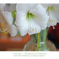 THE GENIUS OF SIMPLICITY