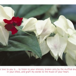 THE MUSIC OF YOUR HEART