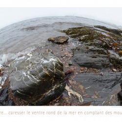 MER EST MERE