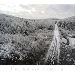LA VOIE GLACEE