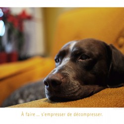 PRESSEZ LA DETENTE